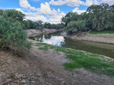 Wilcannia-Weir-photo.jpg