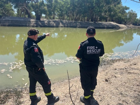 Fish Deaths photo courtesy Fire and Rescue NSW 